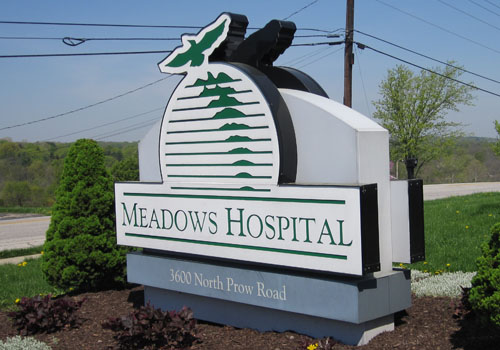 Meadows Hospital