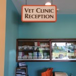 Interior Signs - Vet Clinic Reception at BloomingPaws