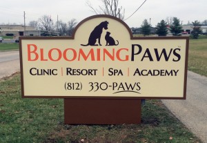 lighted-sign-bloomingpaws