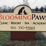 lighted-sign-bloomingpaws